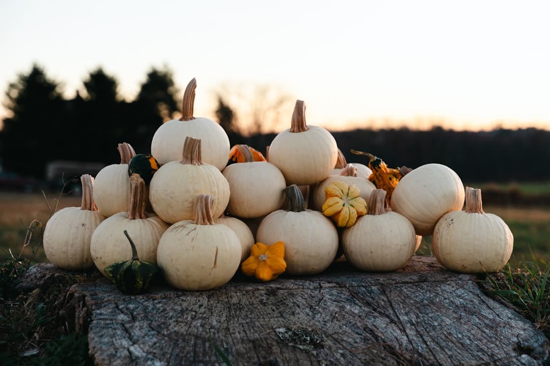 https://p4.img.cctvpic.com/photoworkspace/contentimg/2025/08/30/2025083012093275274.png